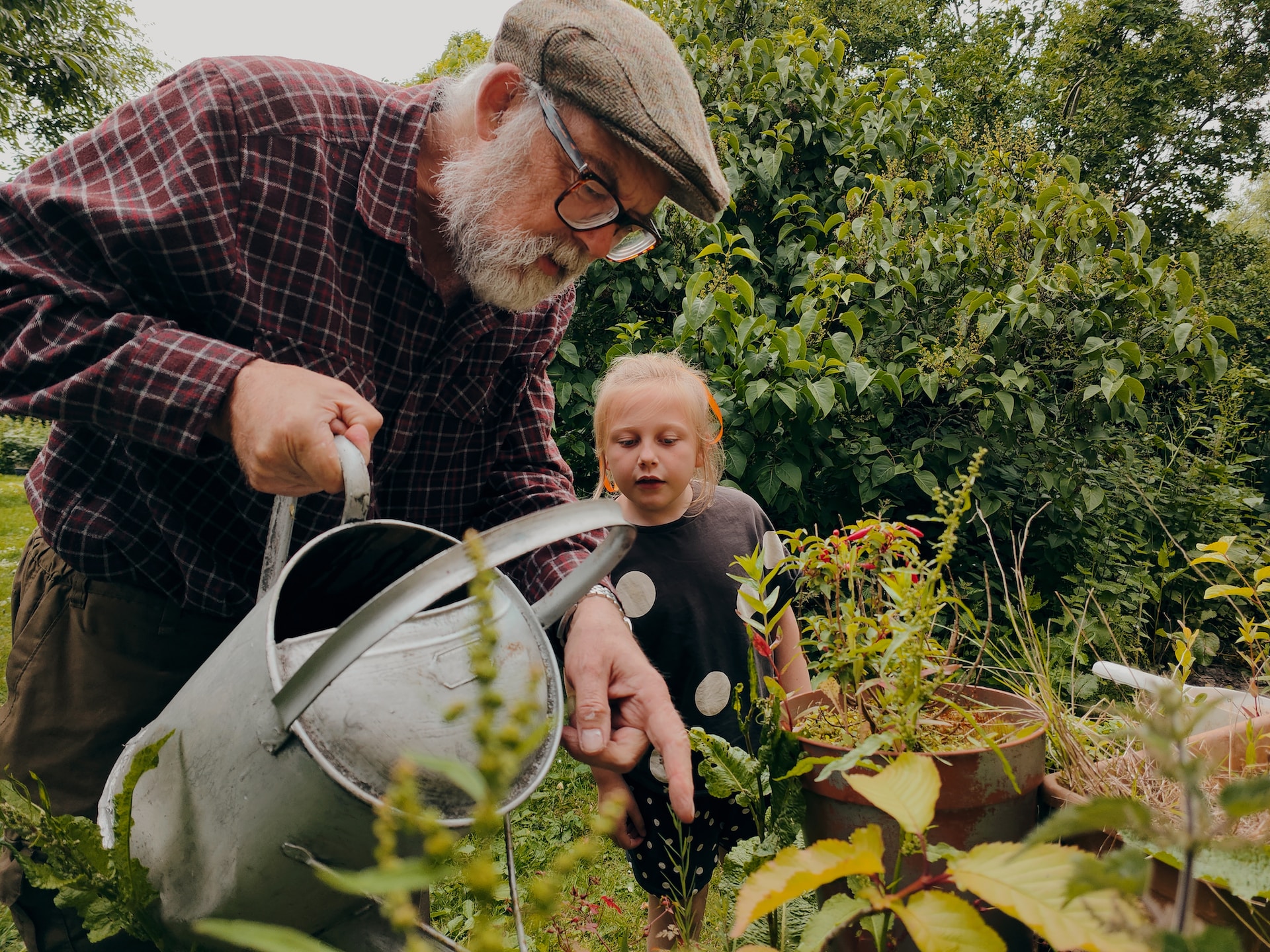 Read more about the article The Joyful Art of Relaxing Gardening for Seniors